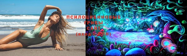 jwh Зеленокумск