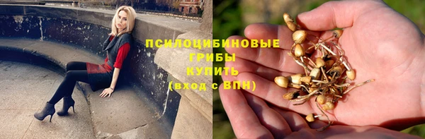jwh Зеленокумск