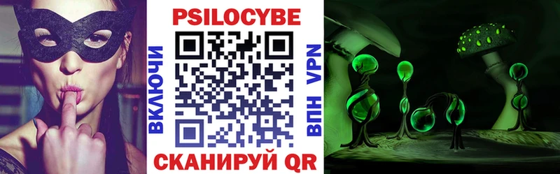 купить наркотики сайты  Солнечногорск  hydra зеркало  Псилоцибиновые грибы Psilocybine cubensis 