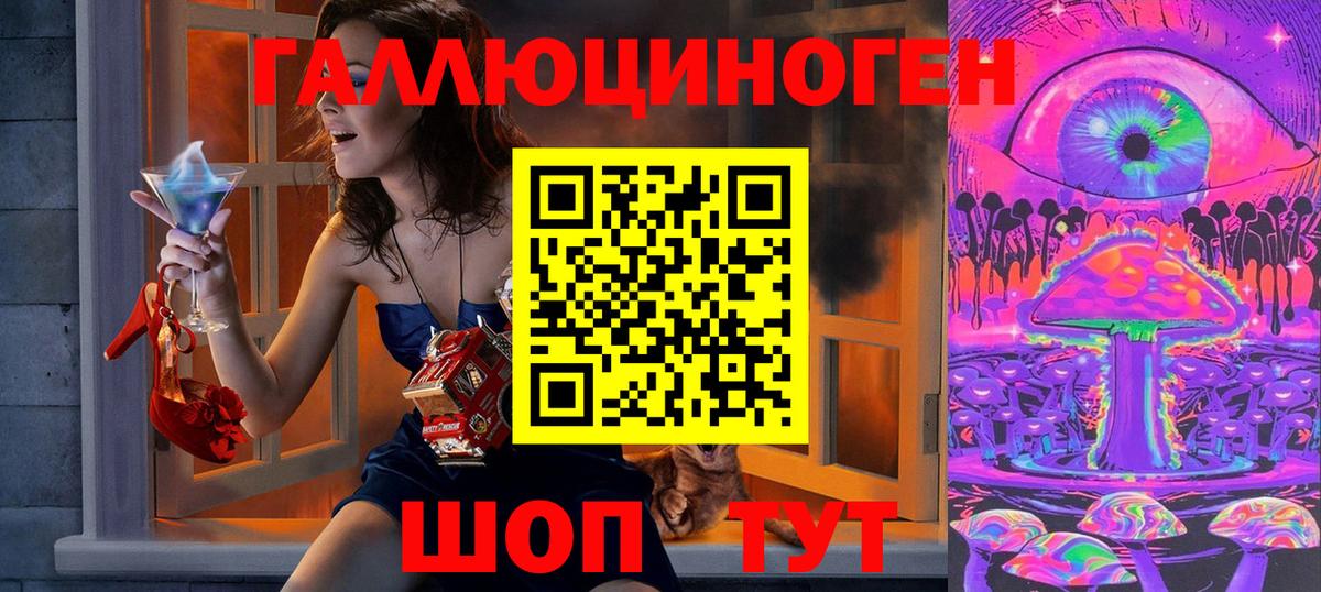 Псилоцибиновые грибы Psilocybe Солнечногорск