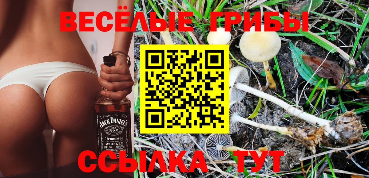 Солнечногорск  Галлюциногенные грибы GOLDEN TEACHER  Галлюциногенные грибы GOLDEN TEACHER  Вход с VPN 